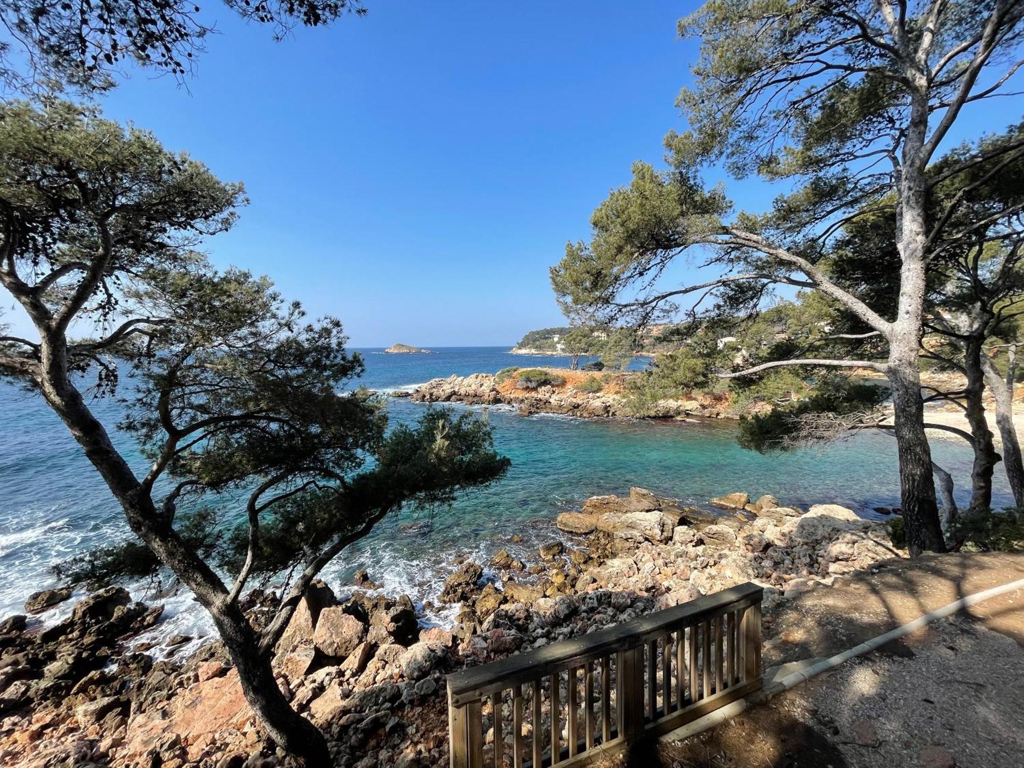 Appartement T3 Terrasse Vue Mer Bandol Eksteriør bilde